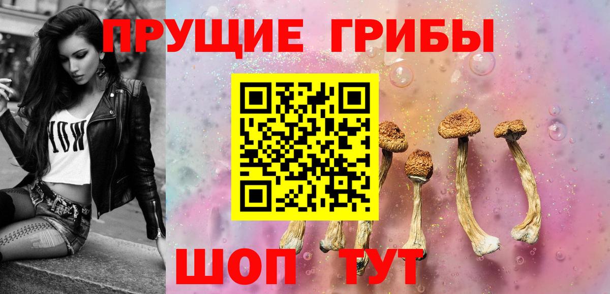 Мелеуз  Псилоцибиновые грибы MAGIC MUSHROOMS  Вход с VPN 